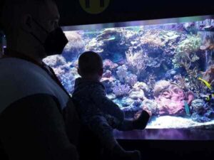 Aquarium Barcelona