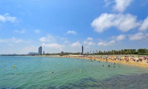 la marbella barcelona